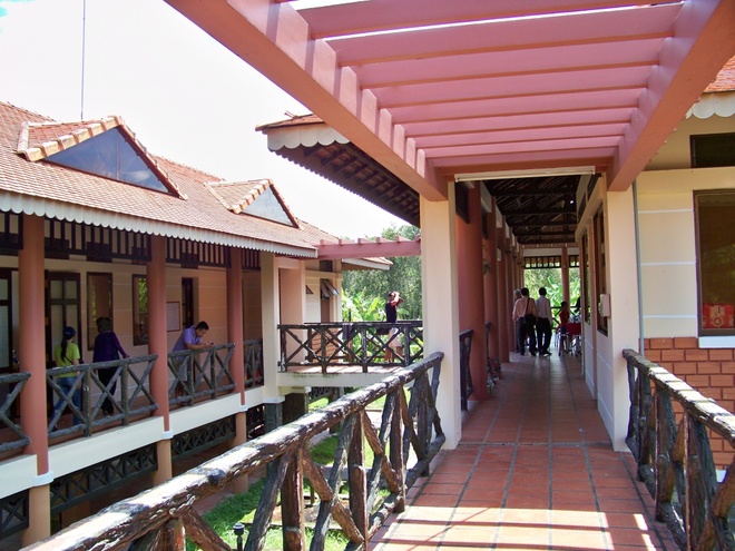 Con[-]đường[-]xuyên[-]rừng[-]tràm[-]dài[-]nhất[-]Việt[-]Nam[-]tại[-]Long[-]An
